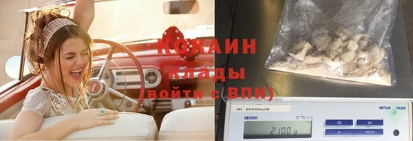 2c-b Горняк