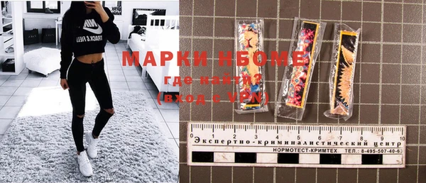 2c-b Горно-Алтайск