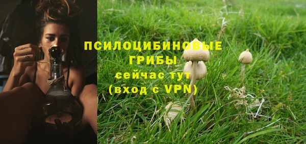 2c-b Горно-Алтайск