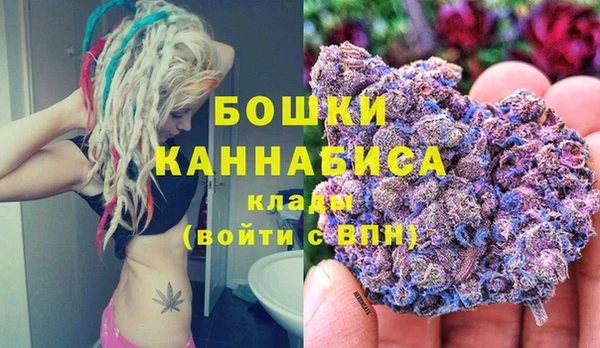 2c-b Горняк