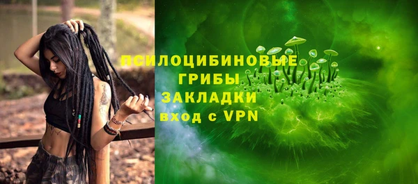 2c-b Горно-Алтайск