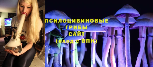 2c-b Горняк