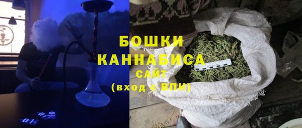 2c-b Горно-Алтайск