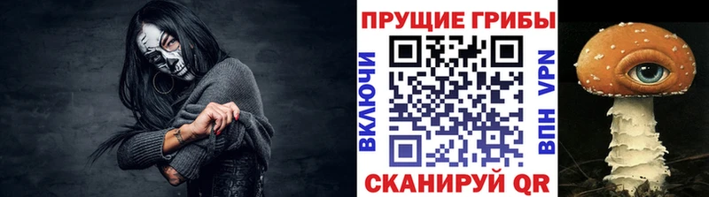 Псилоцибиновые грибы ЛСД  кракен зеркало  Динская  купить  цена 